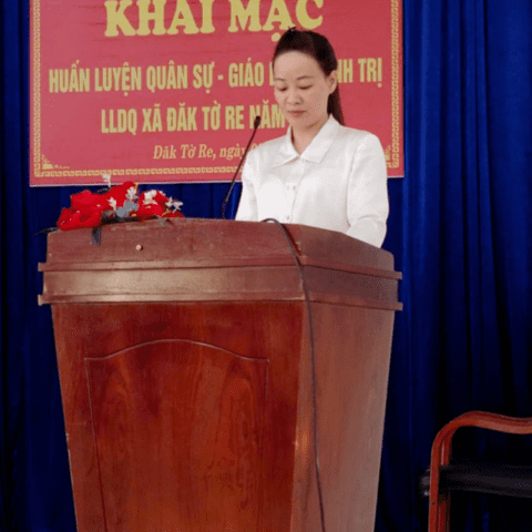 khai mạc Huấn luyện lực lượng dân quân năm 2025